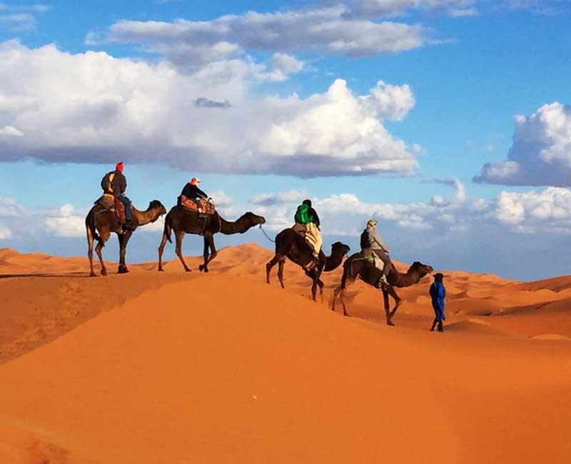 6天马拉喀什沙漠之旅