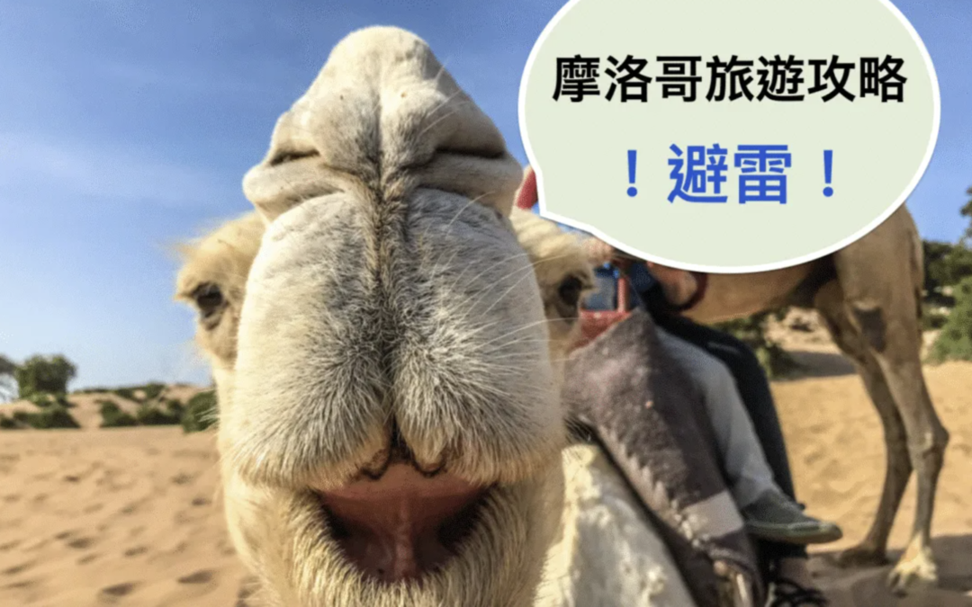 摩洛哥自由行攻略